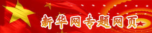新华网专题网页